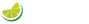 FreshLimeStudio